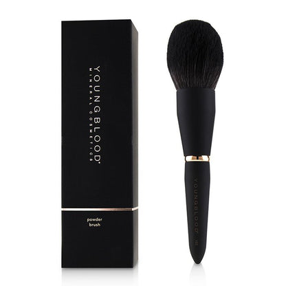 Youngblood YB2 Powder Brush